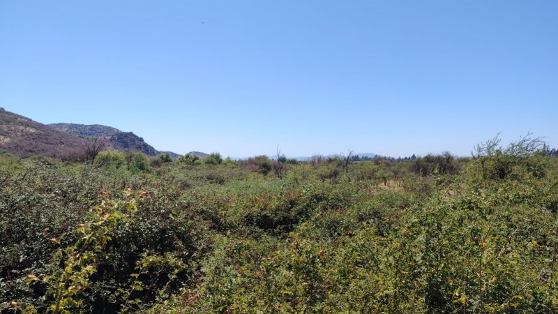 Pumaiten Romeral Parcelas