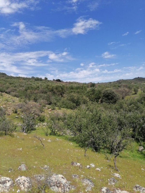 Pumaiten Romeral Parcelas