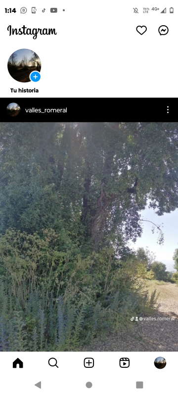 Parcelas en Teno Planas