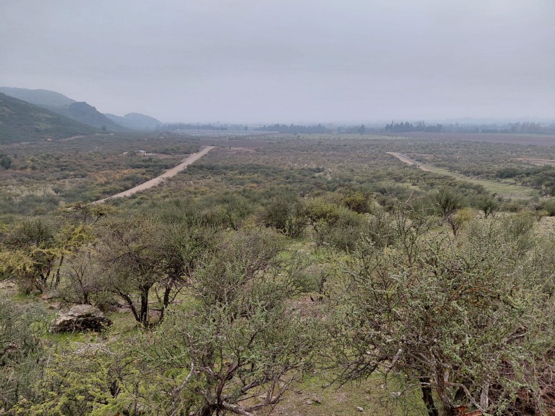 una Hectárea en Pumaiten Romeral