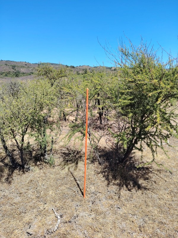Pumaiten Romeral Parcelas