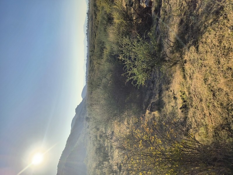 una Hectárea en Pumaiten Romeral