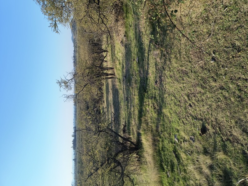 una Hectárea en Pumaiten Romeral