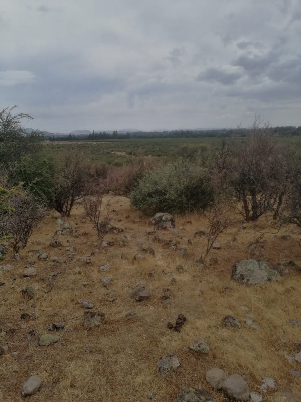 Pumaiten Romeral Parcelas
