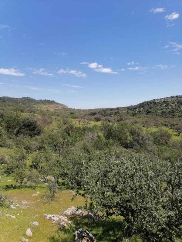 Pumaiten Romeral Parcelas