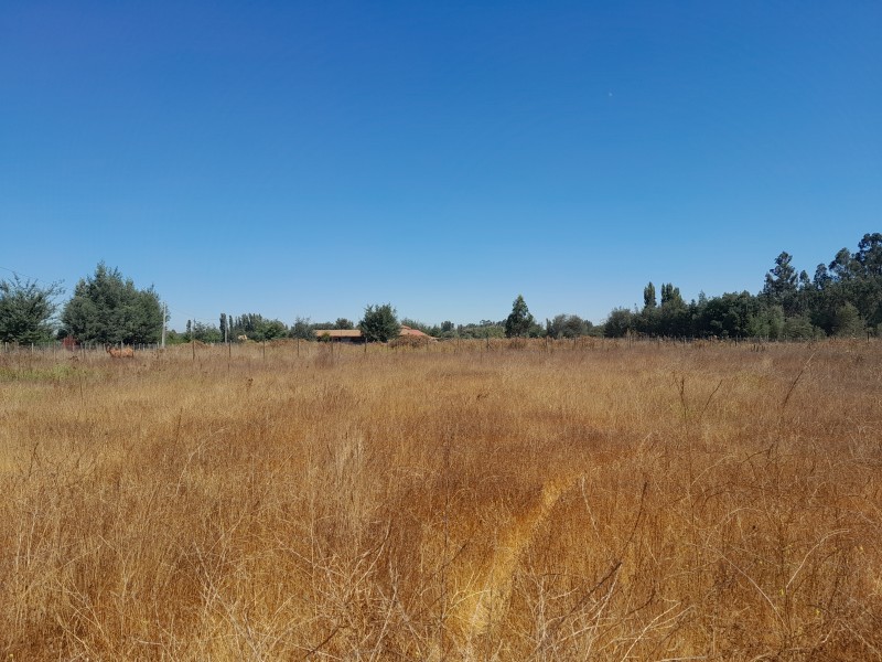 Venta de Terreno Ubicado en San Juan