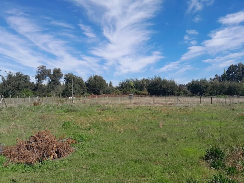 Se Vende Parcela 5000M2 y Casa 80M2