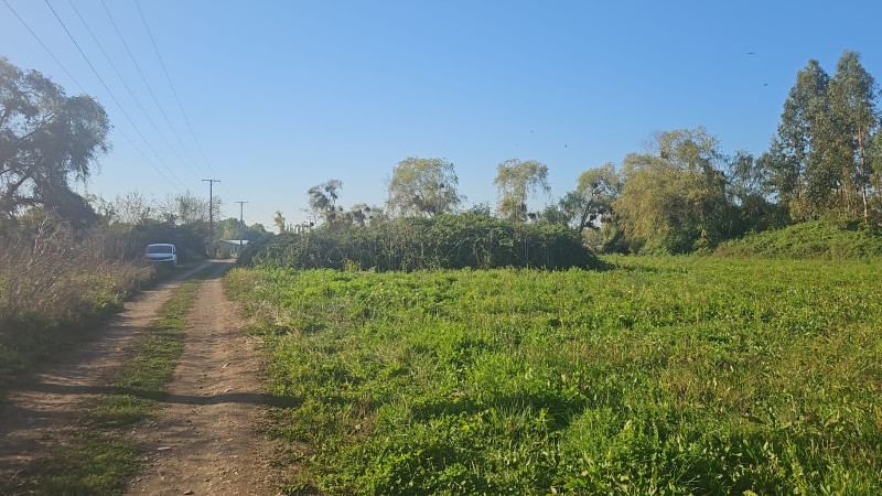 Se Vende Parcela 5000M2 en Yerbas Buenas