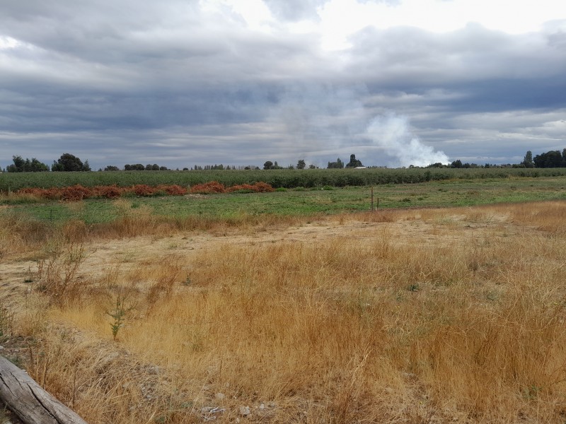 Terreno de 5000M2 $24.000.000.-