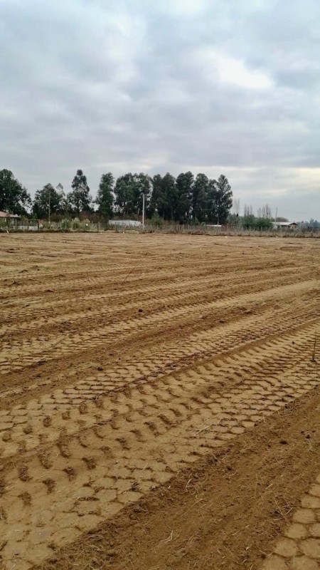 Venta de Terreno Ubicado en San Juan