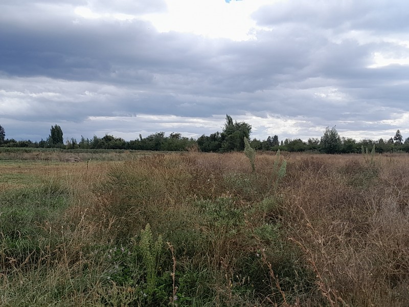 Terreno de 5000M2 $24.000.000.-