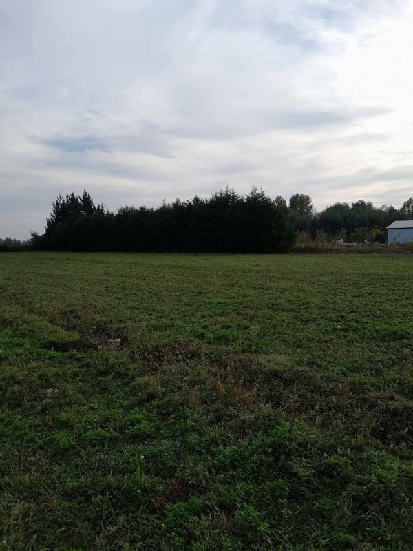 Se Vende Parcela 16.577M2 Bajo Esmeralda