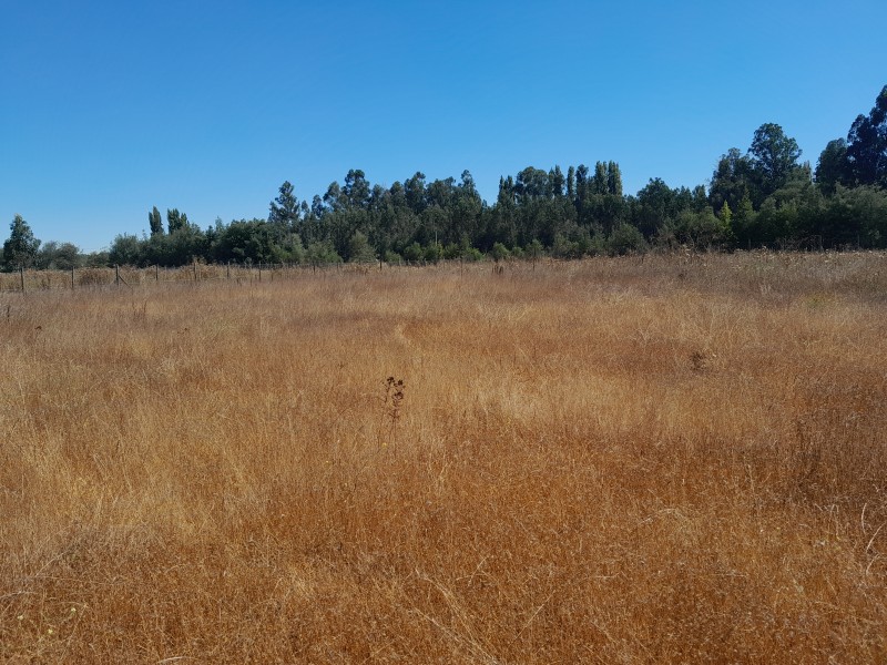 Venta de Terreno Ubicado en San Juan