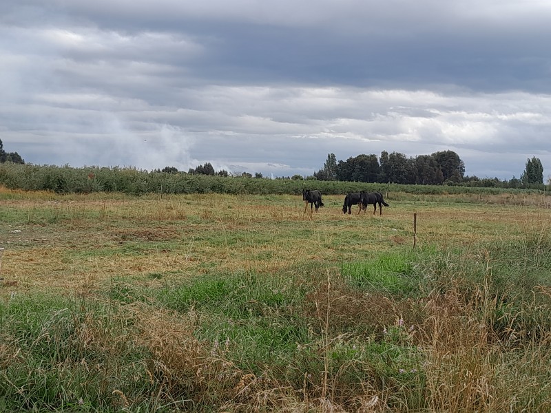 Terreno de 5000M2 $24.000.000.-