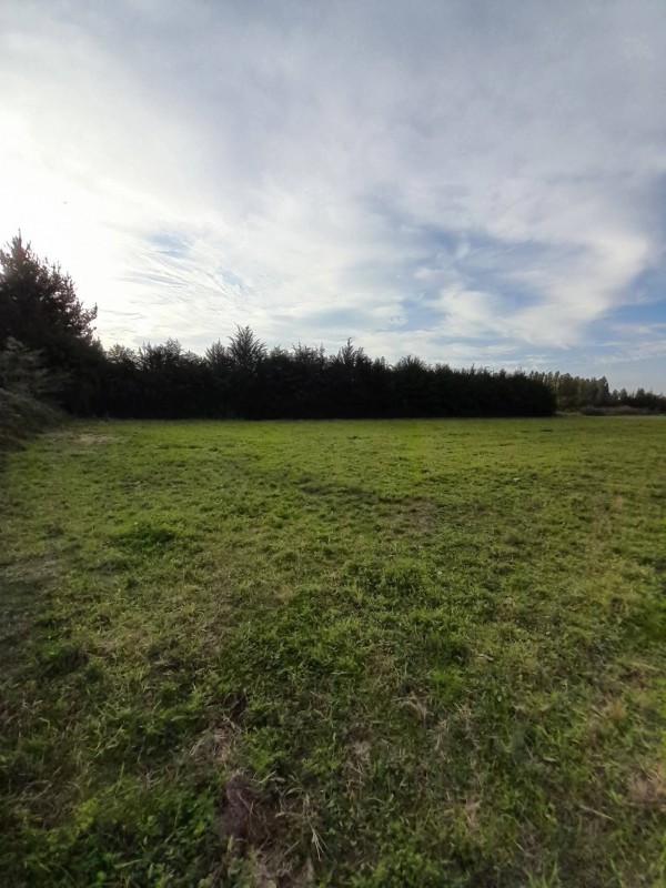 Se Vende Parcela 16.577M2 Bajo Esmeralda