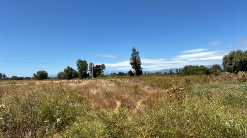 Venta de Parcelas desde 5000M2 Excelente Plusvalía.
