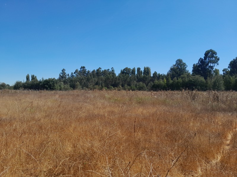 Venta de Terreno Ubicado en San Juan