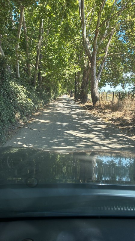 Venta de Parcelas desde 5000M2 Excelente Plusvalía.
