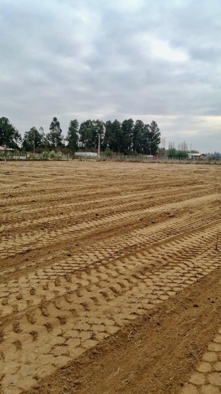 Venta de Terreno Ubicado en San Juan