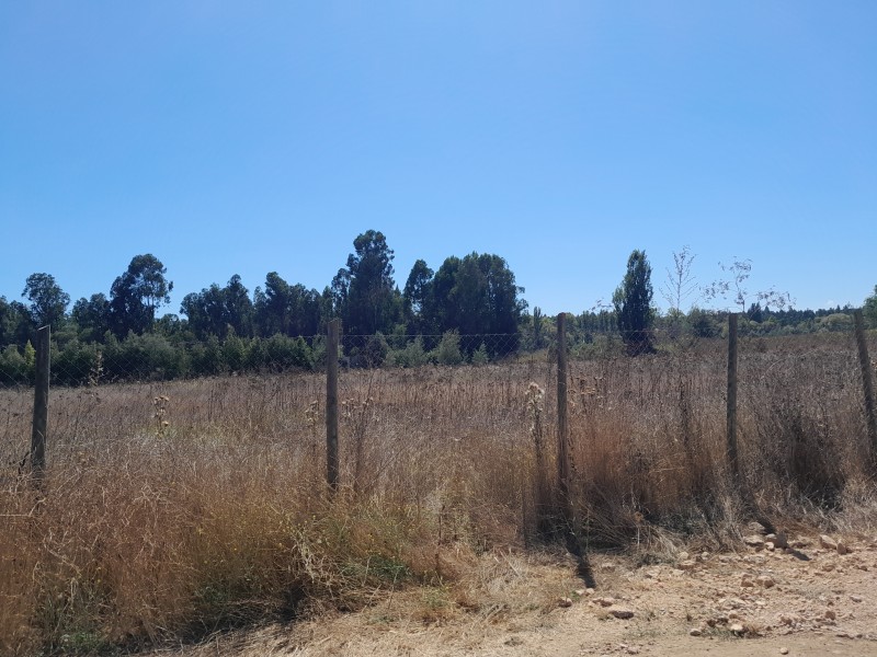 Venta de Terreno Ubicado en San Juan
