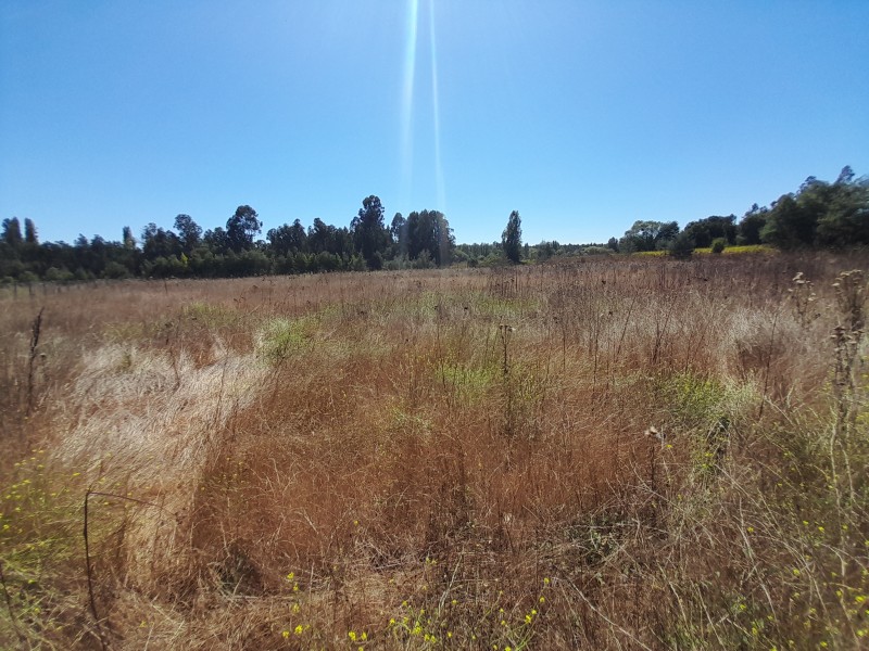 Venta de Terreno Ubicado en San Juan