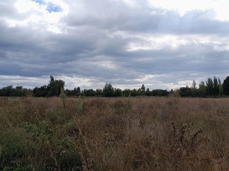 Terreno de 5000M2 $24.000.000.-