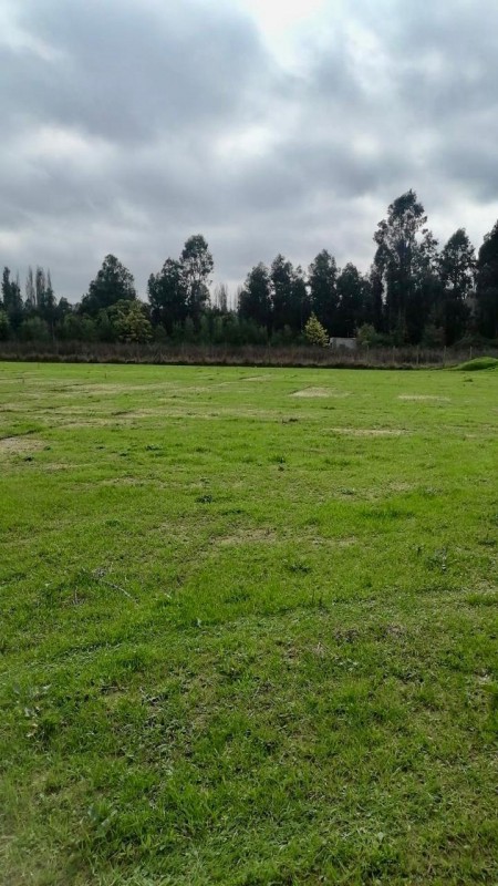 Venta de Terreno Ubicado en San Juan