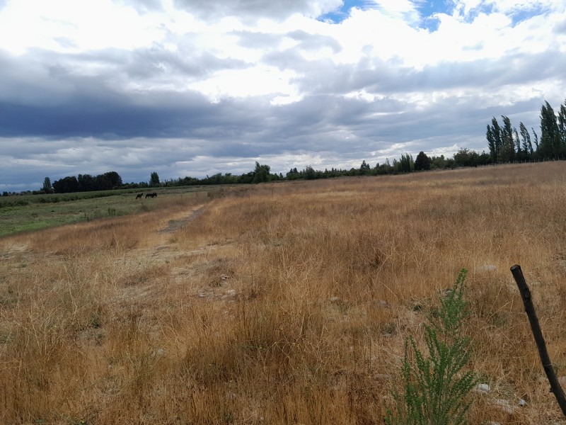 Terreno de 5000M2 $24.000.000.-