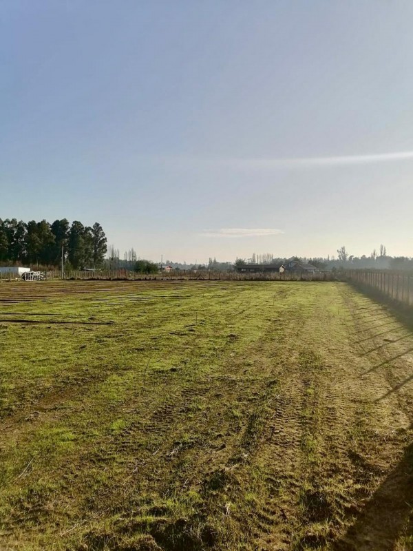 Venta de Terreno Ubicado en San Juan