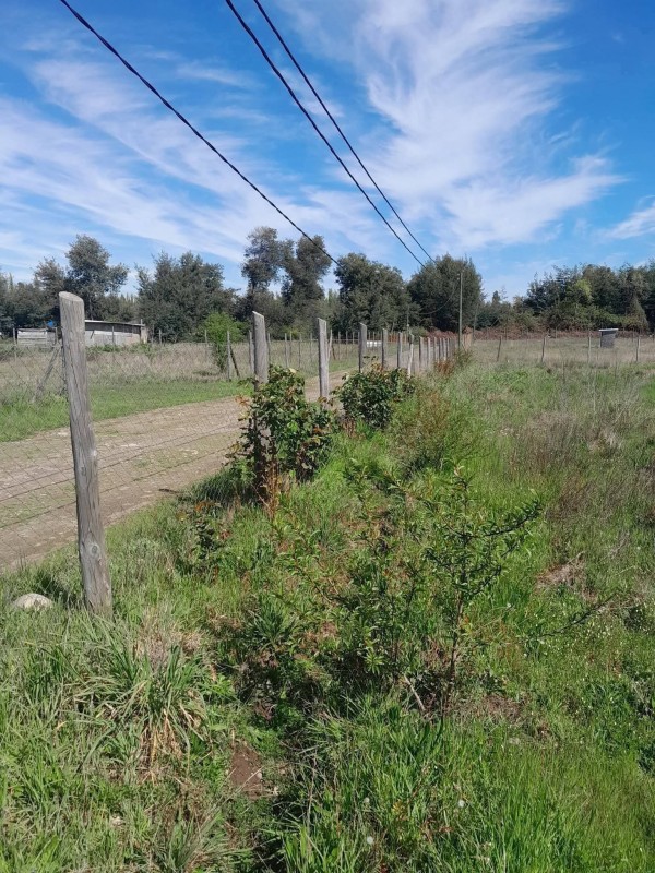 Se Vende Parcela 5000M2 y Casa 80M2