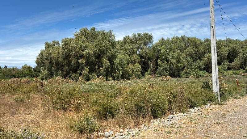 Venta de Parcelas desde 5000M2 Excelente Plusvalía.