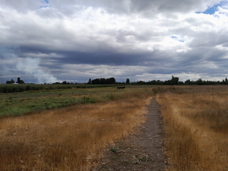 Terreno de 5000M2 $24.000.000.-