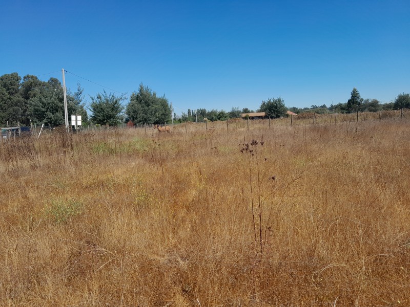 Venta de Terreno Ubicado en San Juan