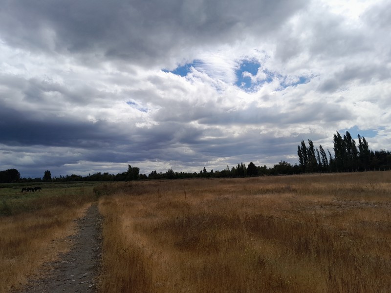 Terreno de 5000M2 $24.000.000.-