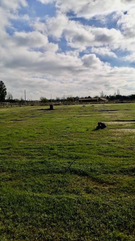 Venta de Terreno Ubicado en San Juan