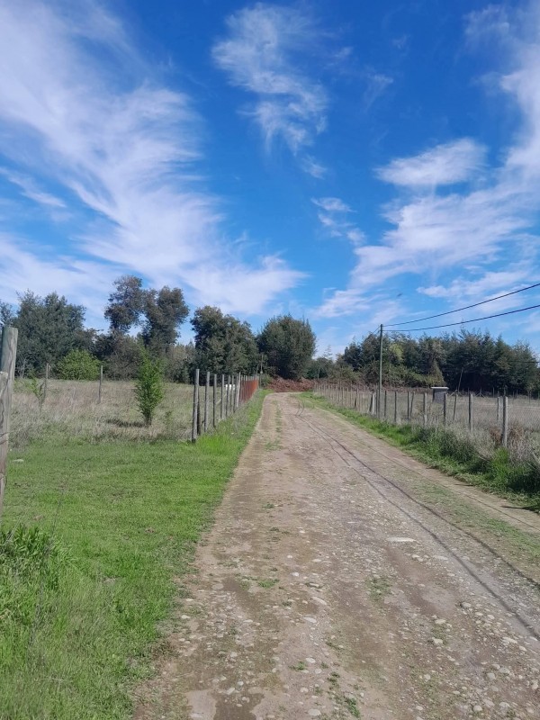 Se Vende Parcela 5000M2 y Casa 80M2