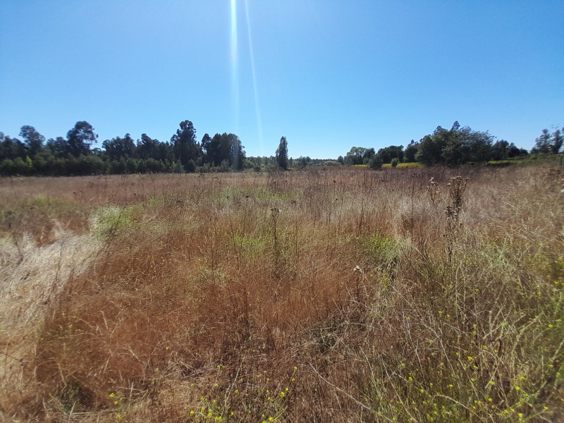 Venta de Terreno Ubicado en San Juan