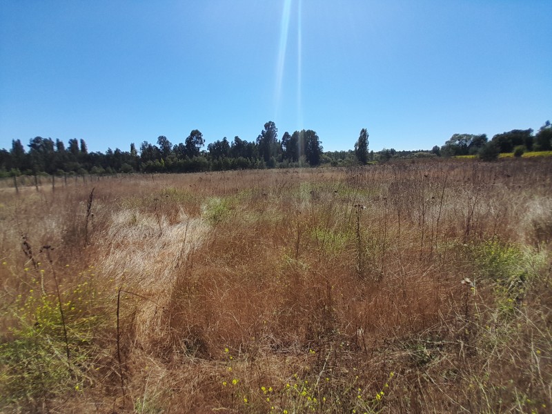 Venta de Terreno Ubicado en San Juan