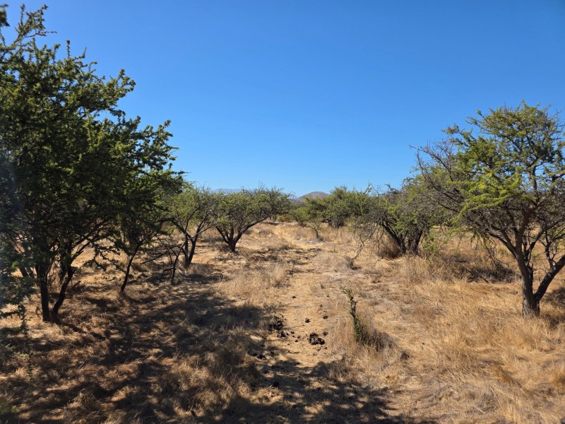 Parcela - 5000M2, Limache