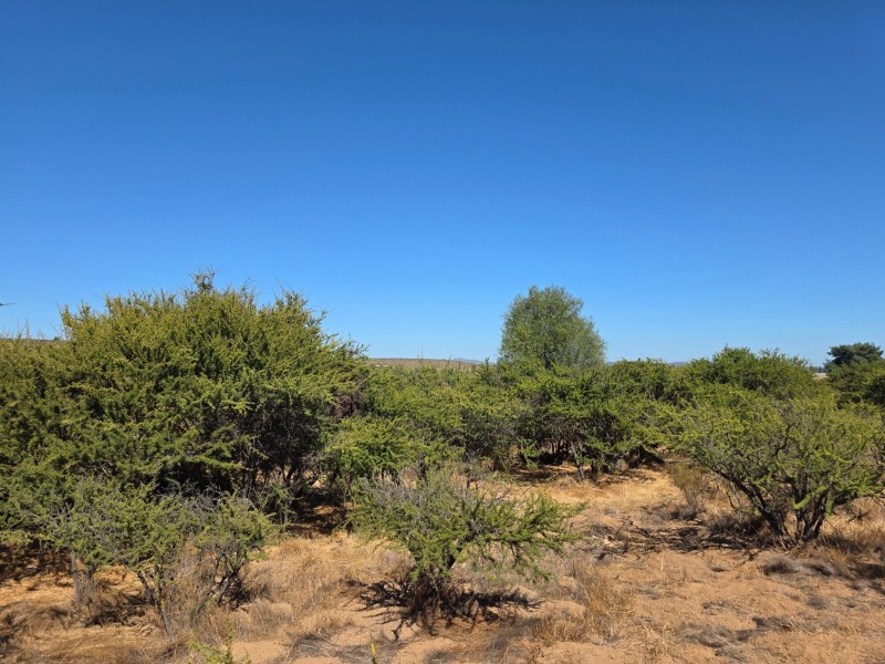 Parcela - 5000M2, Limache