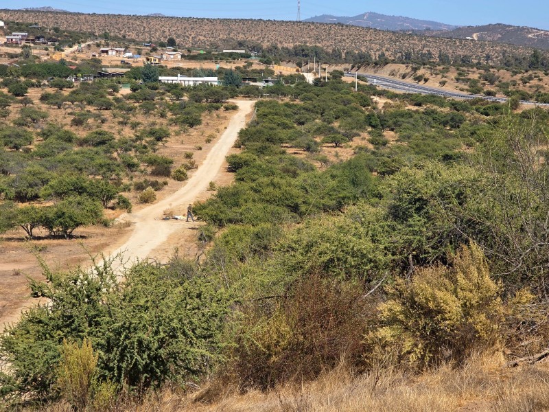 Parcela - 5000M2, Limache