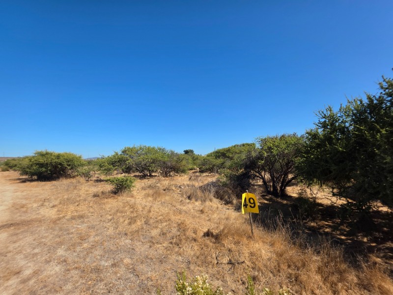 Parcela - 5000M2, Limache