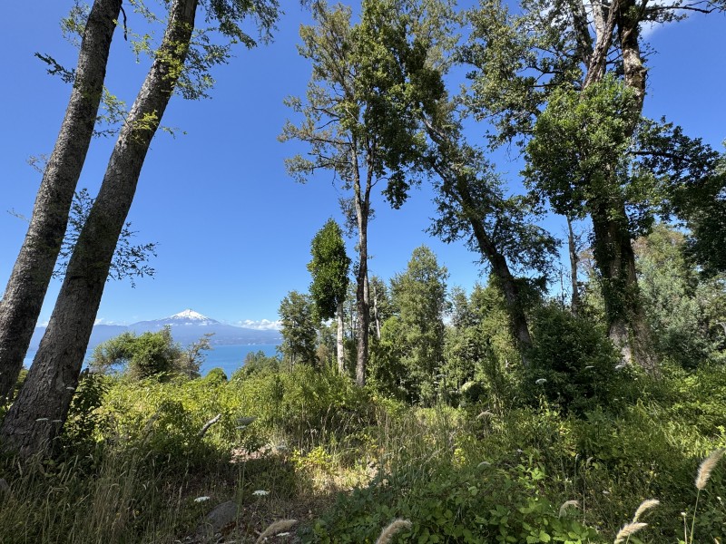 Rivera Norte Lago Villarrica Vista Al Lago y Volcán