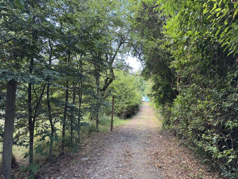 Rivera Norte Lago Villarrica Vista Al Lago y Volcán