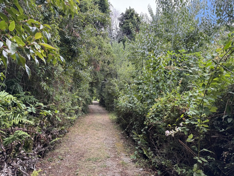 Rivera Norte Lago Villarrica Vista Al Lago y Volcán