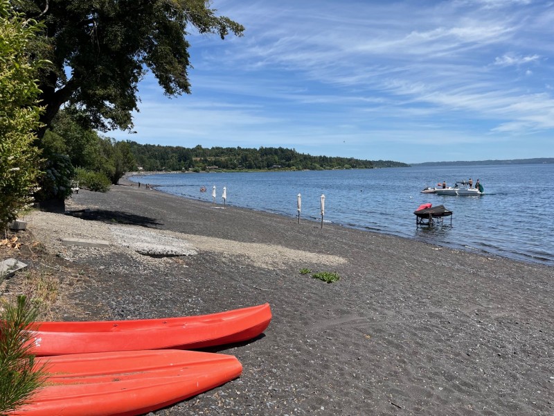 Fotografía de 60 Metros Frente Lago Villarrica Km 10 Villarrica - Pucón