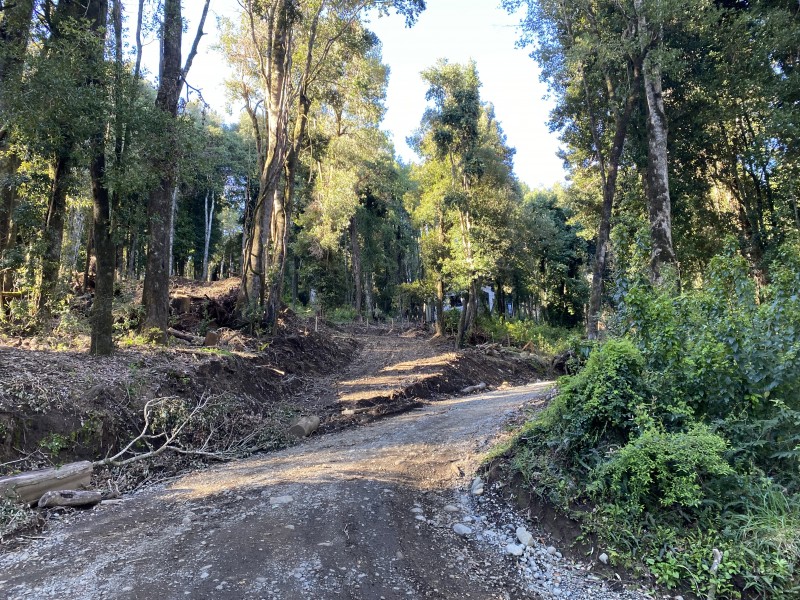 Rivera Norte Lago Villarrica Vista Al Lago y Volcán
