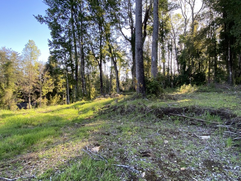 Rivera Norte Lago Villarrica Vista Al Lago y Volcán