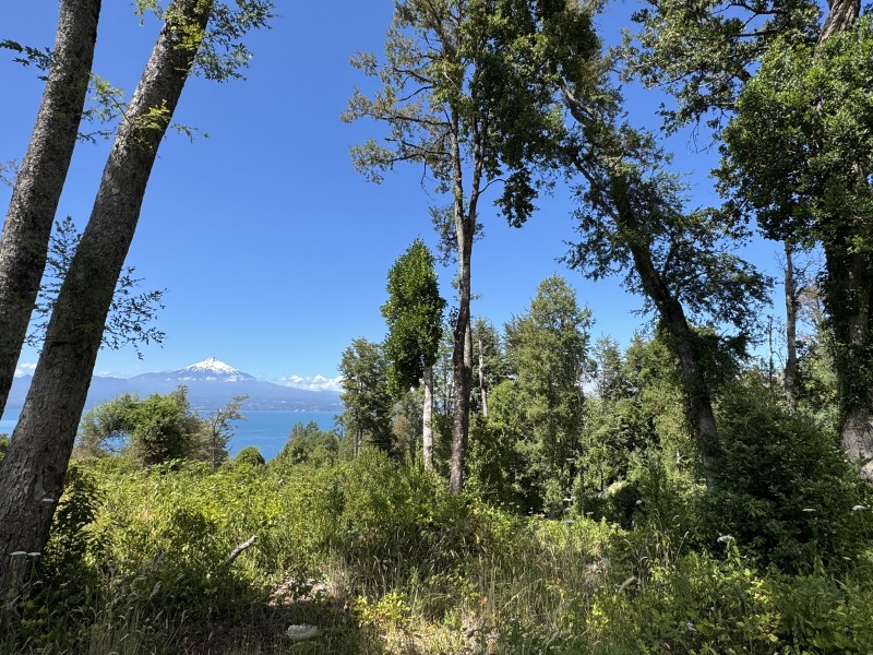 Rivera Norte Lago Villarrica Vista Al Lago y Volcán