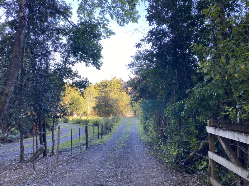 Rivera Norte Lago Villarrica Vista Al Lago y Volcán
